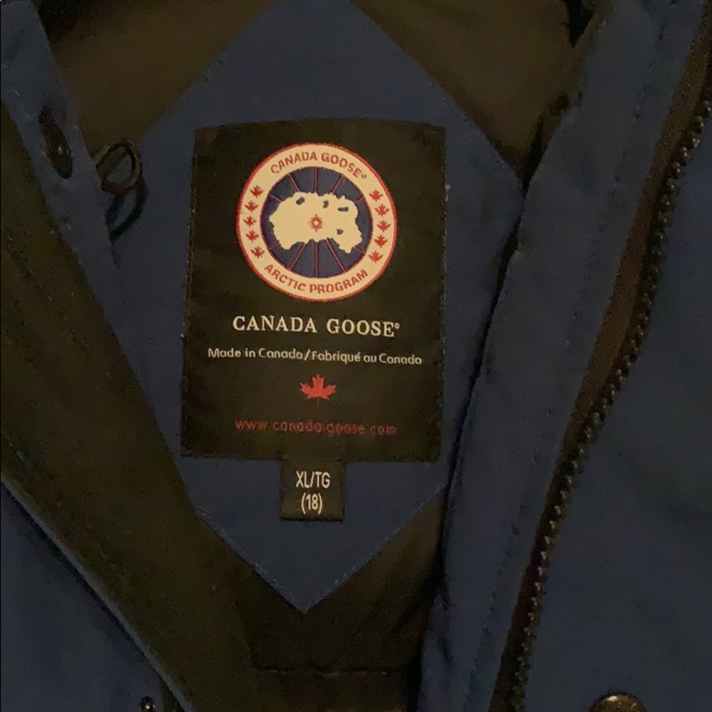 Canada goose